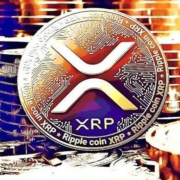 Devoted to XRP and all accurate information, no bullshit, no guesses, just facts