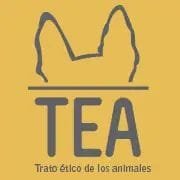 TEA Voluntariado Profile