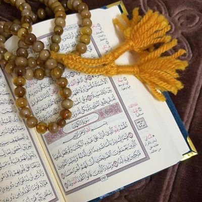 AlshahraniBndar's profile picture. 