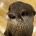 yammy (@sheeblover) Twitter profile photo yammy (@sheeblover) Twitter profile photo
