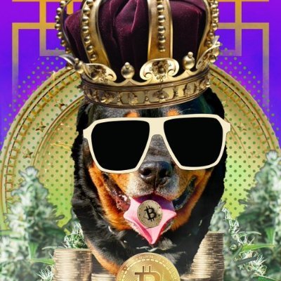 CryptokNFTS Profile Picture