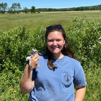 M.S. Student at University of Minnesota - Duluth studying American Kestrel breeding productivity. Pronouns: she/her/hers.