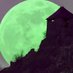 Green Moon 🇪🇺🇺🇦🇺🇸 Profile picture