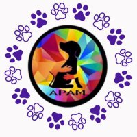 APAM Difusiones Mex (@apamdif) 's Twitter Profile