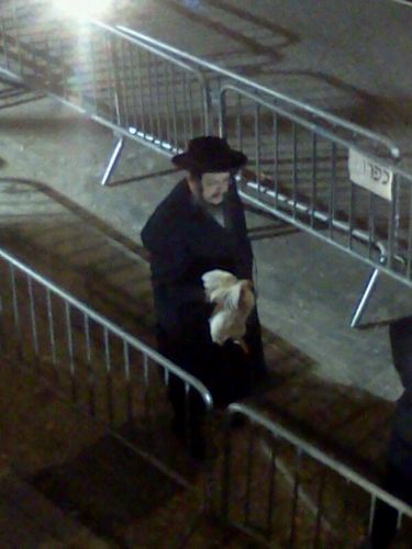 GoreshKlein's profile picture. ☕ | Coffee in one hand, confidence in the other | ☕