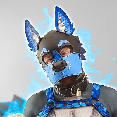 Wruff! 🐶 Hey Pups! I'm Buzz, a Canadian Pup from Montreal! (En/Fr) 🐶 💙 🏈 🎮 
Owned - - 
Learning from the best @HMBluishPupkin 👨‍🎓