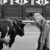Jorge Toros (@jorge_toros) Twitter profile photo Jorge Toros (@jorge_toros) Twitter profile photo