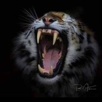 pyaw parsay (@pyaw_parsay) 's Twitter Profile