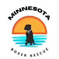 MN Boxer Rescue(@MNBoxerRescue) 's Twitter Profile Photo