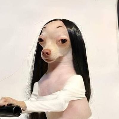 fvkurpvssy's profile picture. 