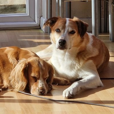 and_roo86's profile picture. 