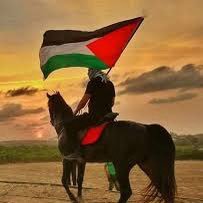 savegaza996 Profile Picture