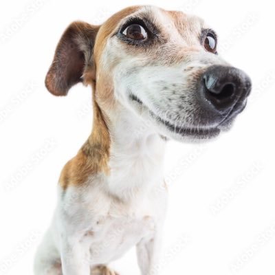 Pamphilon2055's profile picture. 