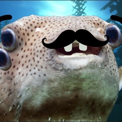 I'm just JAG••I like certain things and dislike certain things••Creator of @JAG_GG 

•Captain of the Nautical Nincompoop •