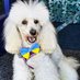 Quinney's Pet Supplies (@quinneyspetsupp) Twitter profile photo Quinney's Pet Supplies (@quinneyspetsupp) Twitter profile photo