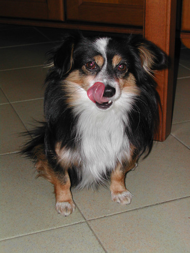 adabertina's profile picture. 