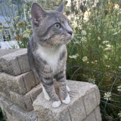 TZMGK1RBY's profile picture. 