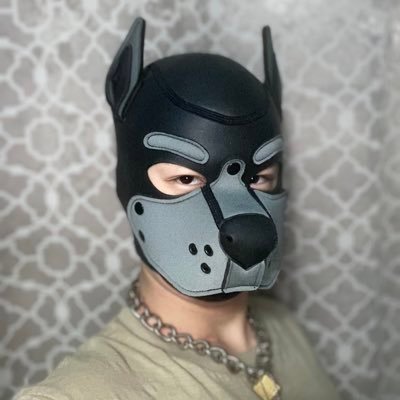 19|Quiet but Quirky Pup|I think it’s kinda obvious 💁🏻‍♂️|Demisexual|Dms open