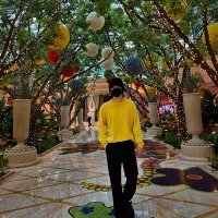 πBoraπ (@hninhtike5) 's Twitter Profile