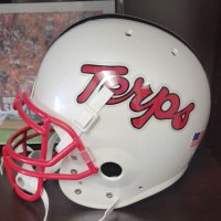 wayne viener (@wayneterp) 's Twitter Profile