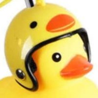 こがれ (@rslastcolor) 's Twitter Profile Photo こがれ (@rslastcolor) 's Twitter Profile Photo