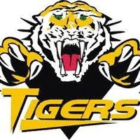 Vermilion Jr. B Tigers (@tigersvermilion) 's Twitter Profile