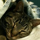 Sandra Rader - @duckiern - Twitter