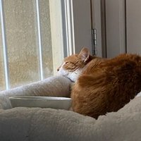 Ty (@itsnotatybo) 's Twitter Profile