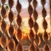 Finca Endavant (@finca_adelante) Twitter profile photo Finca Endavant (@finca_adelante) Twitter profile photo