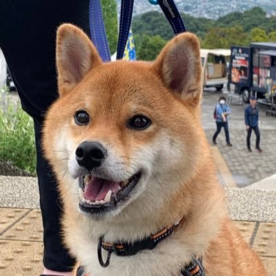 EcLNXcPts5LlYsG's profile picture. 