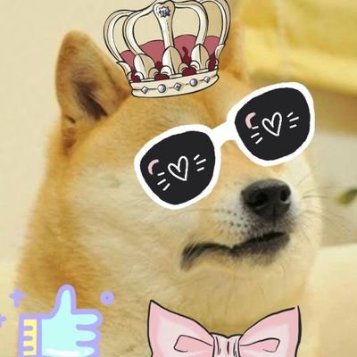 doge_code00m's profile picture. 
