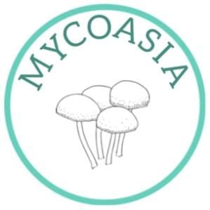 MycoAsia (e-ISSN: 2582-7278) publishes articles on various topics of fungal research. There are no publication charges. Editor-in-Chief: Dr. Belle D. Shenoy