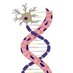 Neuromuscular Disease Research Group (@uwndrg) Twitter profile photo Neuromuscular Disease Research Group (@uwndrg) Twitter profile photo
