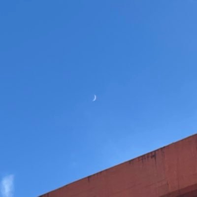 timber29519387's profile picture. kyushu univ