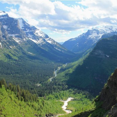 MarkMas53765511's profile picture. Conservative Montana outdoorsman. Trump/Vance 2024. MAGA!