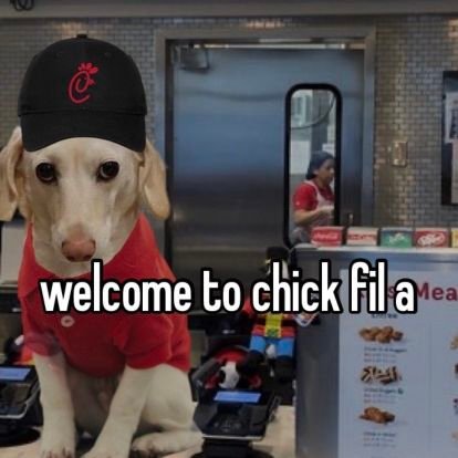 calliphornia's profile picture. he/him