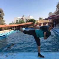 Donavan Sanchez (@dius33308) 's Twitter Profile