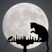 Monika (@monikac32995181) 's Twitter Profile