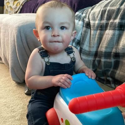 grizzlyparrott's profile picture. I shot a man in reno just to watch him die