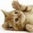 CEO @ https://t.co/evbpAm2arm. (YC W20) Formerly: Xapo & Bitso. Amateur: Investor and meditator. josedelaluz.eth
