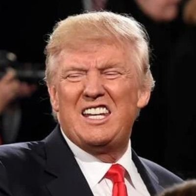 realtrumpletier Profile Picture