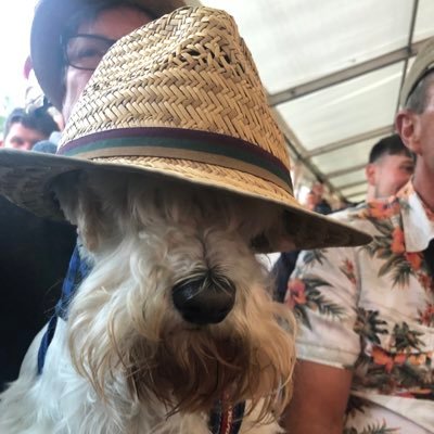 davyjbee's profile picture. 