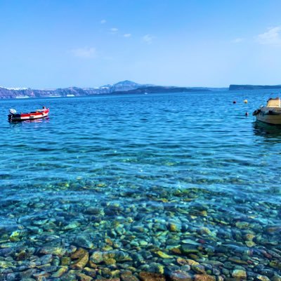 didntstartthef1's profile picture. 