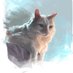 Nekhbet 🧣 (@nekhbet_00) Twitter profile photo Nekhbet 🧣 (@nekhbet_00) Twitter profile photo