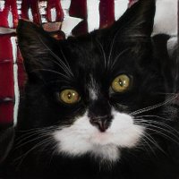 Natasha Baker (@natasha65527043) 's Twitter Profile