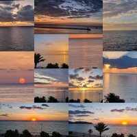 Micha_on_the sunside 🇩🇪 🇪🇺 (@mhgr777) 's Twitter Profile