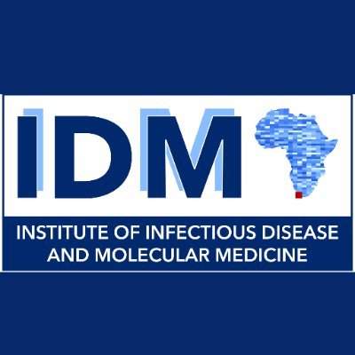 The IDM was established in 2004 as a cross-faculty postgraduate research institute based within the University of Cape Town (UCT), South Africa.