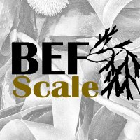 BEF-Scale(@BefScale) 's Twitter Profileg