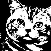 LordCobra (@lordcobra_dsgn) 's Twitter Profile