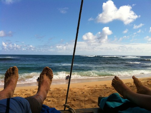 thespaniard's profile picture. Expert dog walker, experienced salsa creator, and PMP Certified Project Manager